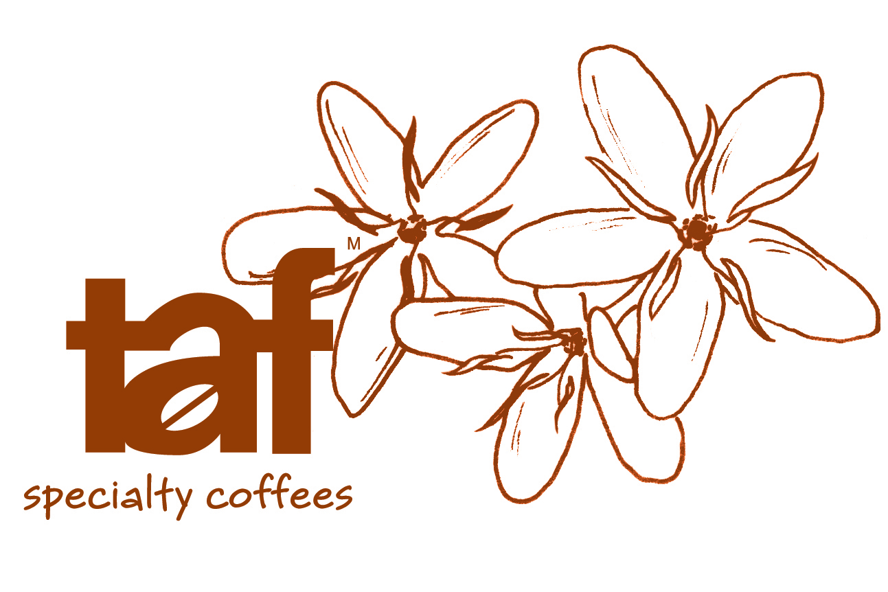Taf Coffee, Catering Supporter